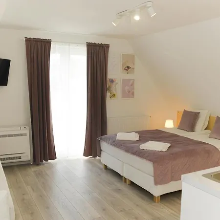 Raba92 House Apartment Gyor